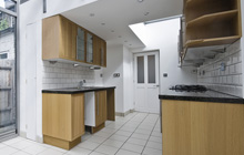 Leatherhead Common kitchen extension leads